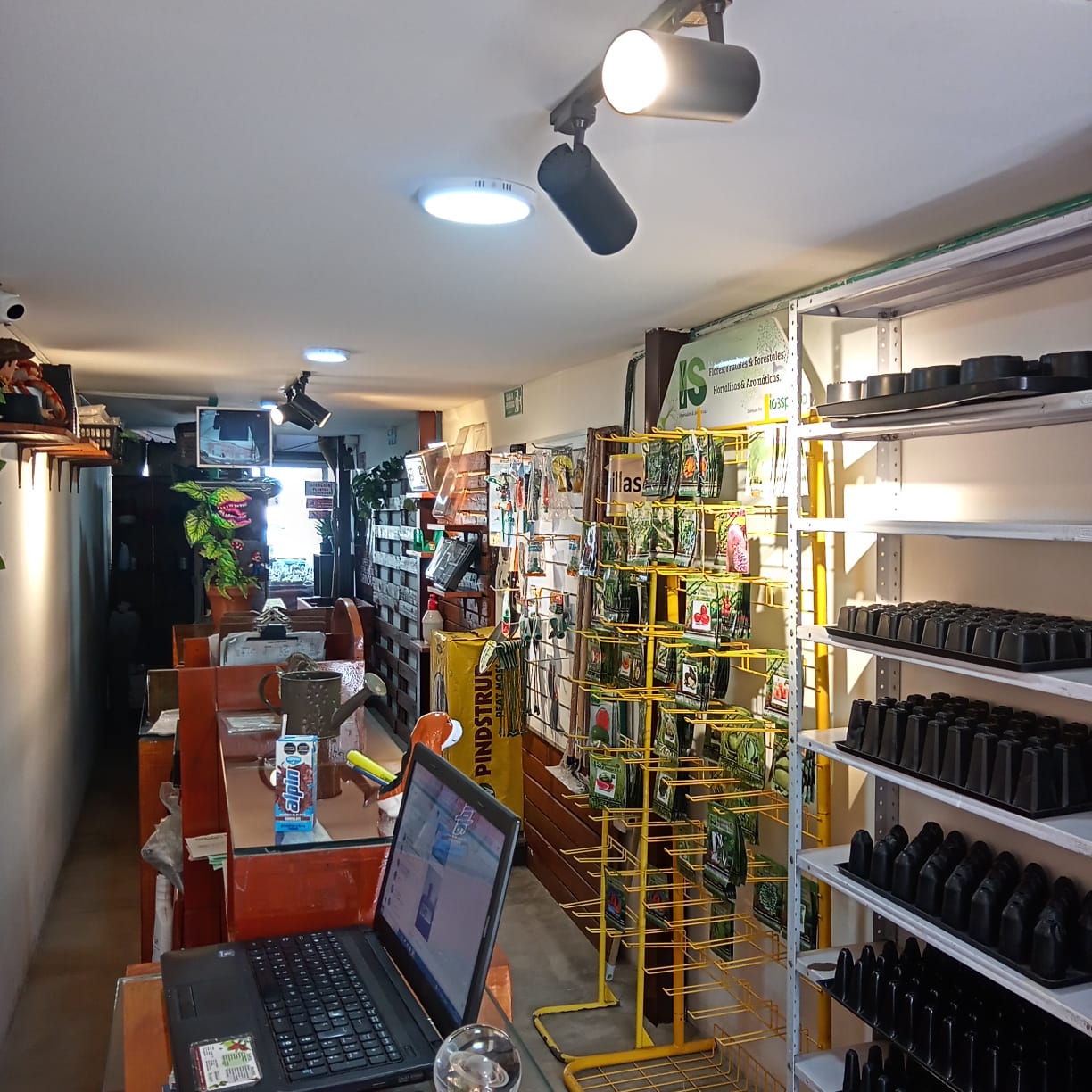 WhatsApp Image 2025-05-02 at 1.56.55 PM (1)